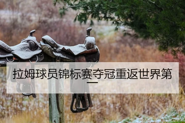拉姆球员锦标赛夺冠重返世界第一