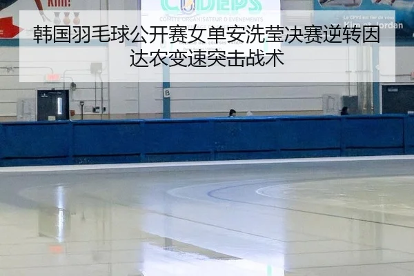 韩国羽毛球公开赛女单安洗莹决赛逆转因达农变速突击战术